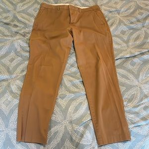 Express Photographer 36x32 pants